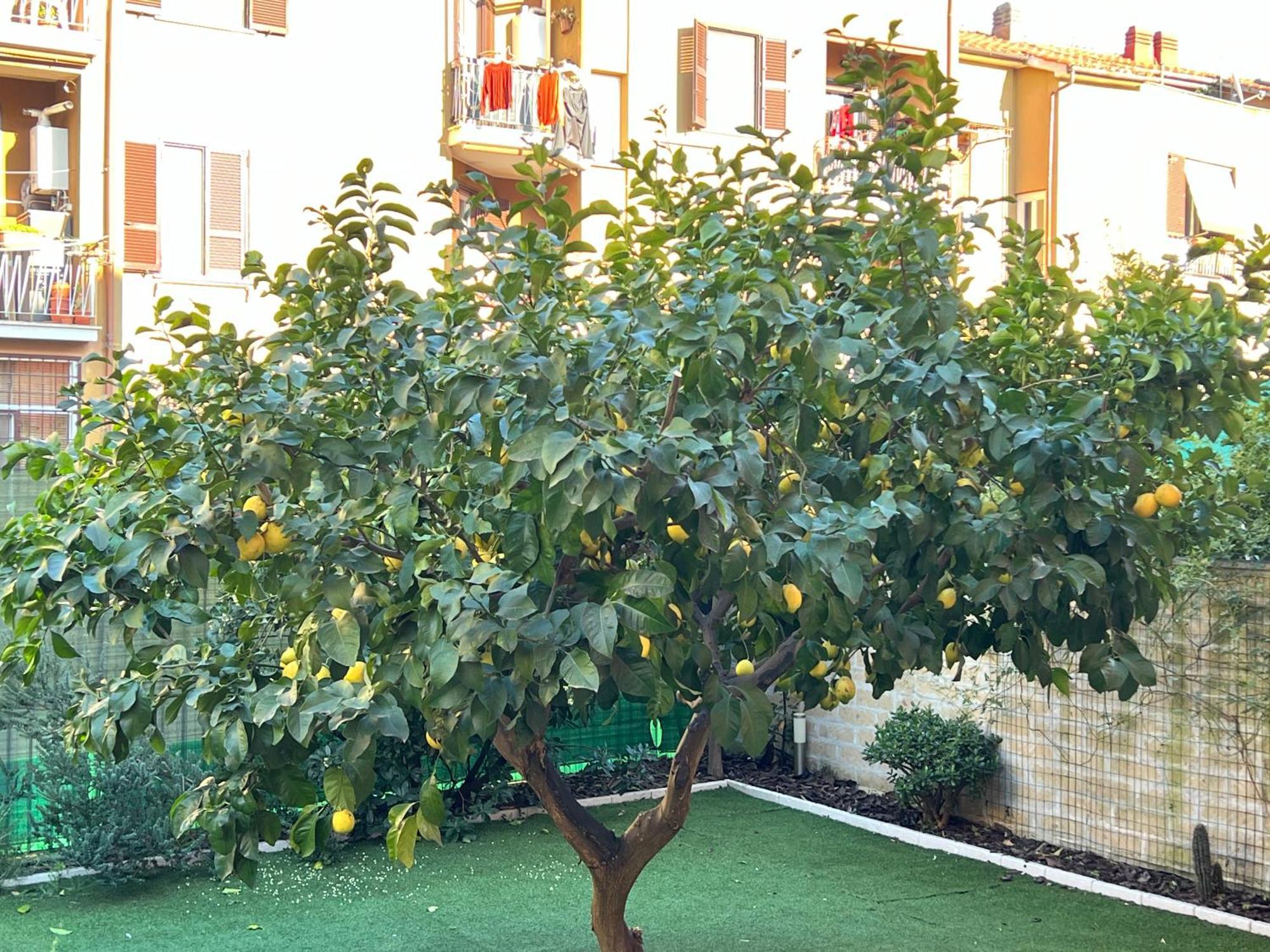 Casa Paestum. Your Wonderful Garden In 罗马 外观 照片
